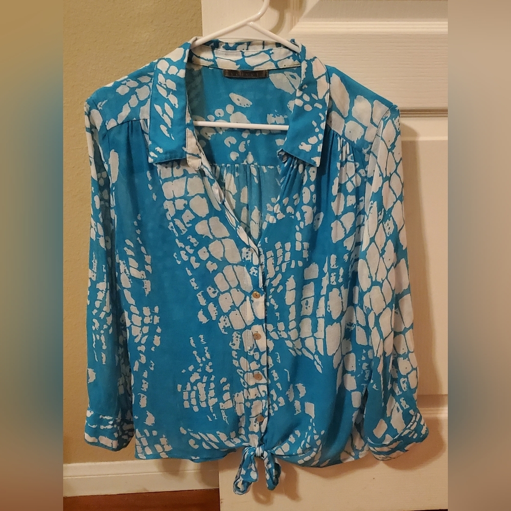Velvet blue button-down, long-sleeved shirt, Large